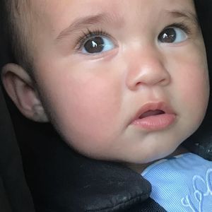 Meet your Posher, Ginger